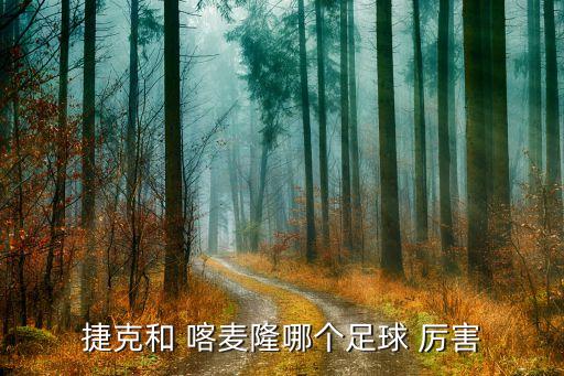 捷克和 喀麥隆哪個(gè)足球 厲害