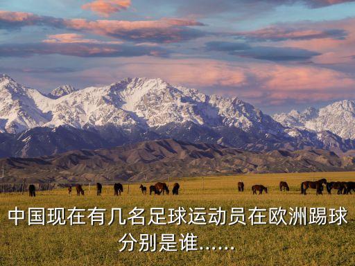 大邱對(duì)全北現(xiàn)代哪個(gè)贏,我很反感現(xiàn)階段中國(guó)足球員出國(guó)