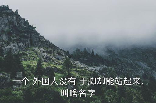 外國那個沒手腳的哪個視頻,殘疾人士堅強(qiáng)向前預(yù)算案
