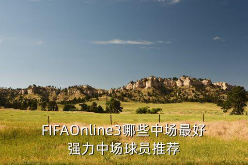 FIFAOnline3哪些中場(chǎng)最好強(qiáng)力中場(chǎng)球員推薦