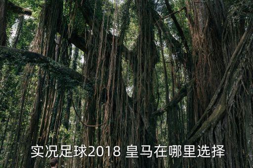實(shí)況17哪個(gè)是皇馬,皇馬是西班牙甲級聯(lián)賽的球隊(duì)之一