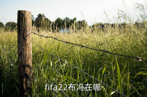 fifa22布馮在哪