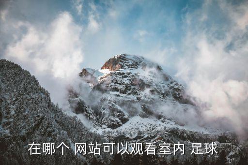 在哪個(gè) 網(wǎng)站可以觀看室內(nèi) 足球