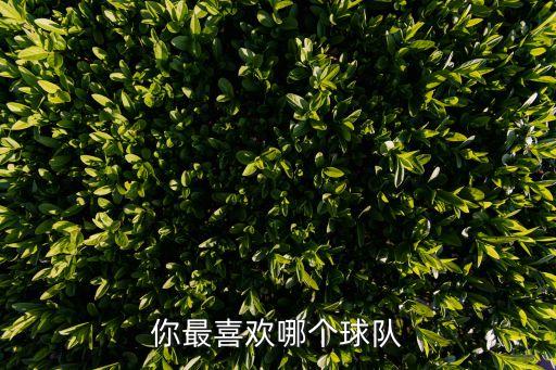 你最喜歡哪個(gè)球隊(duì)