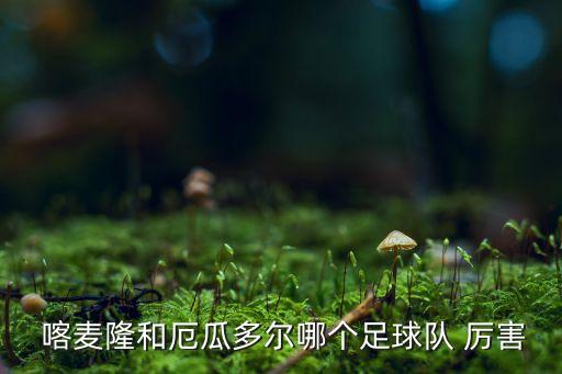  喀麥隆和厄瓜多爾哪個(gè)足球隊(duì) 厲害
