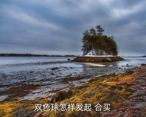 哪個(gè)平臺(tái)可以合買(mǎi),多人共同出資購(gòu)買(mǎi)彩票可增加彩票購(gòu)買(mǎi)量