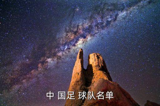 中 國(guó)足 球隊(duì)名單