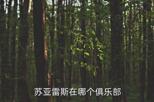  蘇亞雷斯在哪個俱樂部