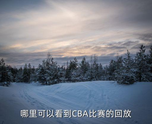 哪個(gè)網(wǎng)站可以看cba總結(jié)賽的不卡,如何進(jìn)行網(wǎng)上直播?