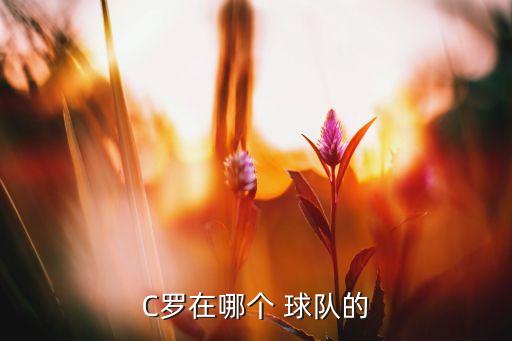 C羅在哪個 球隊的