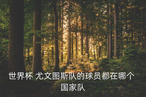 世界杯 尤文圖斯隊(duì)的球員都在哪個(gè) 國(guó)家隊(duì)