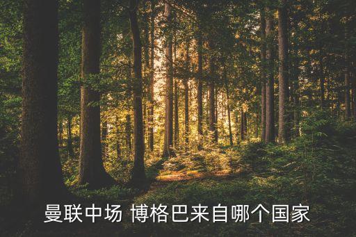 曼聯(lián)中場 博格巴來自哪個國家