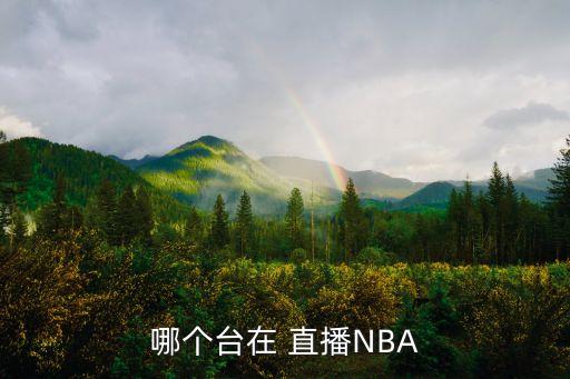 哪個(gè)臺(tái)在 直播NBA
