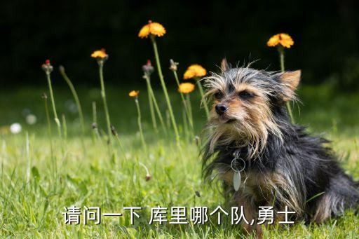請(qǐng)問一下 庫(kù)里哪個(gè)隊(duì),勇士