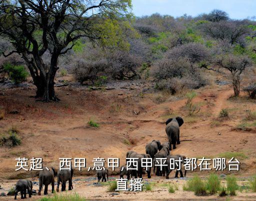 英超、西甲,意甲,西甲平時(shí)都在哪臺 直播