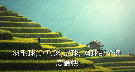 網(wǎng)球比分哪個快,世界最快網(wǎng)球是羽毛球羅迪克再創(chuàng)男子紀錄