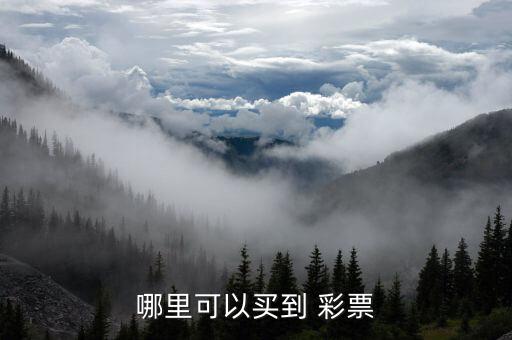 買彩票在哪個網(wǎng)站,彩票法律依據(jù):你好，去彩票停止購買彩票