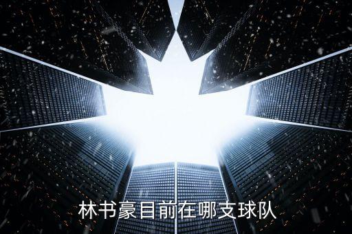  林書豪目前在哪支球隊