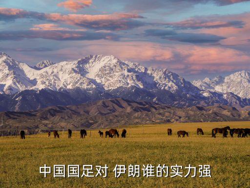 中國(guó)國(guó)足對(duì) 伊朗誰(shuí)的實(shí)力強(qiáng)