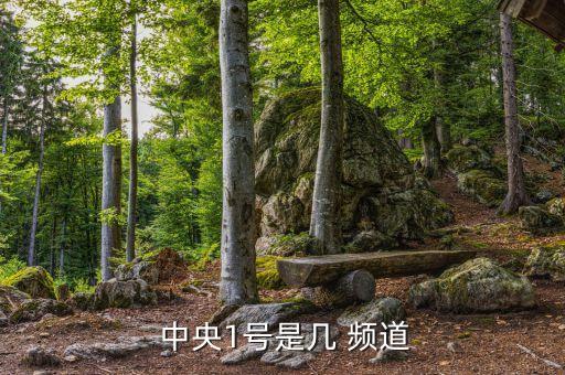  中央1號(hào)是幾 頻道