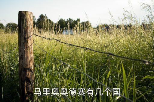 馬里奧奧德賽有幾個(gè)國(guó)