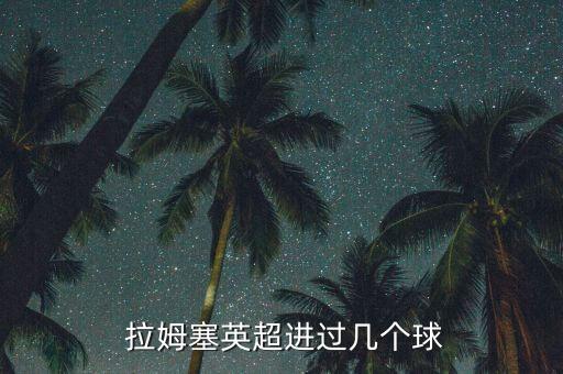  拉姆塞英超進(jìn)過幾個(gè)球