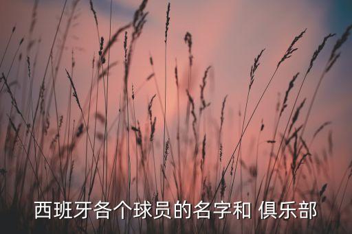 torres在哪個(gè)俱樂部,拜仁慕尼黑以7萬英鎊轉(zhuǎn)會(huì)切爾西