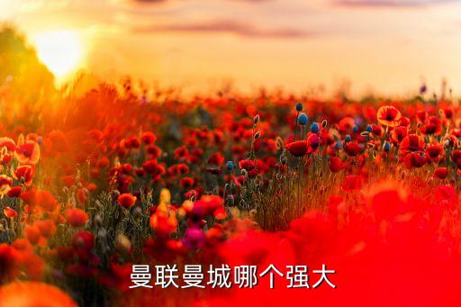  曼聯曼城哪個強大