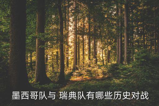  墨西哥隊與 瑞典隊有哪些歷史對戰(zhàn)