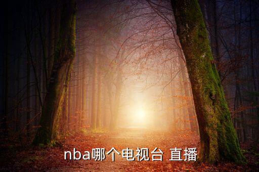  nba哪個(gè)電視臺(tái) 直播