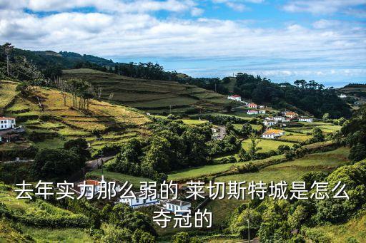 去年實(shí)力那么弱的 萊切斯特城是怎么奪冠的