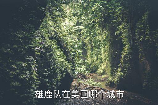 雄鹿隊哪個隊,密爾沃基雄鹿隊，nba球隊之一