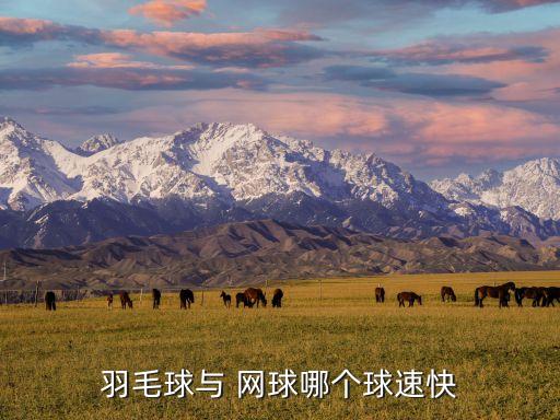 羽毛球與 網(wǎng)球哪個球速快