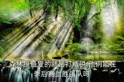  森林狼最愛的就是打精銳,他們能在季后賽上勝強(qiáng)隊嗎