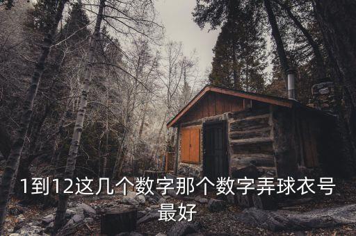 1到12這幾個(gè)數(shù)字那個(gè)數(shù)字弄球衣號最好
