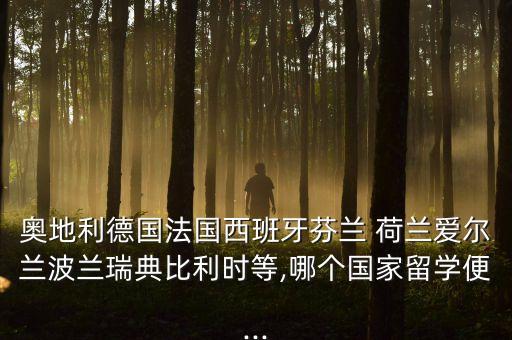 奧地利德國法國西班牙芬蘭 荷蘭愛爾蘭波蘭瑞典比利時等,哪個國家留學(xué)便...