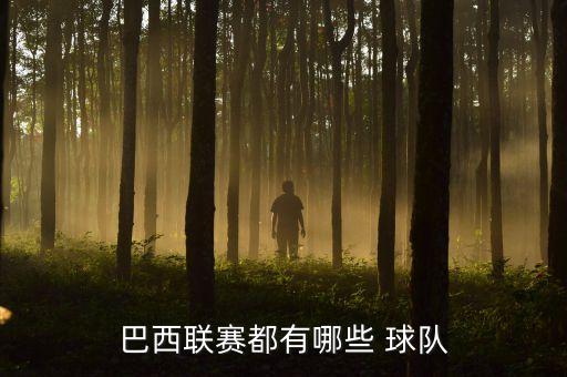 巴拉那競(jìng)技是哪個(gè)球隊(duì),鄧恩是巴西最佳門(mén)將之一巴西青年隊(duì)出場(chǎng)