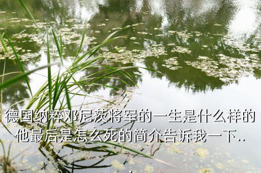 德國(guó)納粹鄧尼茨將軍的一生是什么樣的他最后是怎么死的簡(jiǎn)介告訴我一下...
