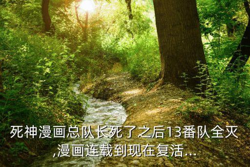 死神漫畫總隊長死了之后13番隊全滅,漫畫連載到現(xiàn)在復(fù)活...