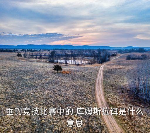 庫姆拉屬于哪個(gè)國家,中華蘇維埃人民共和國成立于1945年