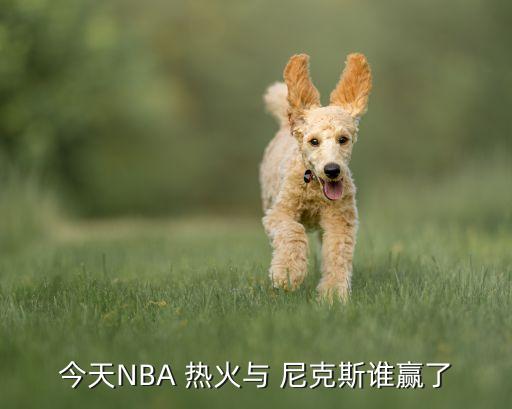 今天NBA 熱火與 尼克斯誰(shuí)贏了