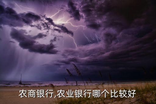 農(nóng)商銀行,農(nóng)業(yè)銀行哪個比較好