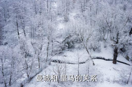  曼城和 皇馬的關(guān)系