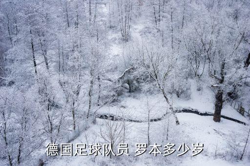 德國(guó)足球隊(duì)員 羅本多少歲