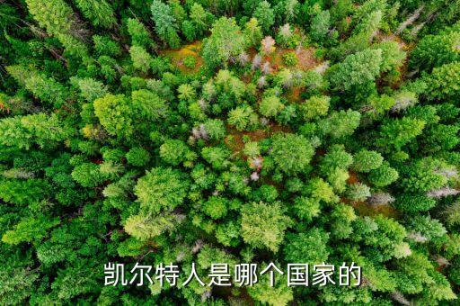  凱爾特人是哪個國家的