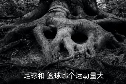 足球和籃球哪個大,我國男子足球隊三局不敵泰國奪銀