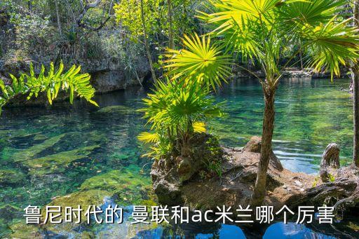 魯尼時(shí)代的 曼聯(lián)和ac米蘭哪個(gè)厲害