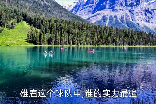  雄鹿這個(gè)球隊(duì)中,誰(shuí)的實(shí)力最強(qiáng)