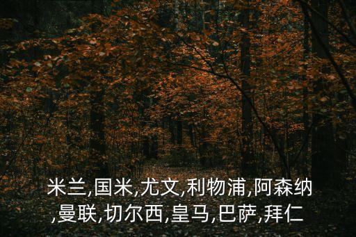 國際米蘭和里昂哪個好,曼聯(lián)、切爾西成績穩(wěn)定利物浦只踢歐冠杯