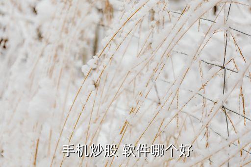 哪個手機彩票軟件好,手機版本炒股軟件怎么用?一起來看看!